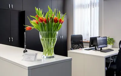 Notariusz Dąbrowa Górnicza - Kancelaria notarialna Barbara Uroda-Bieszczad